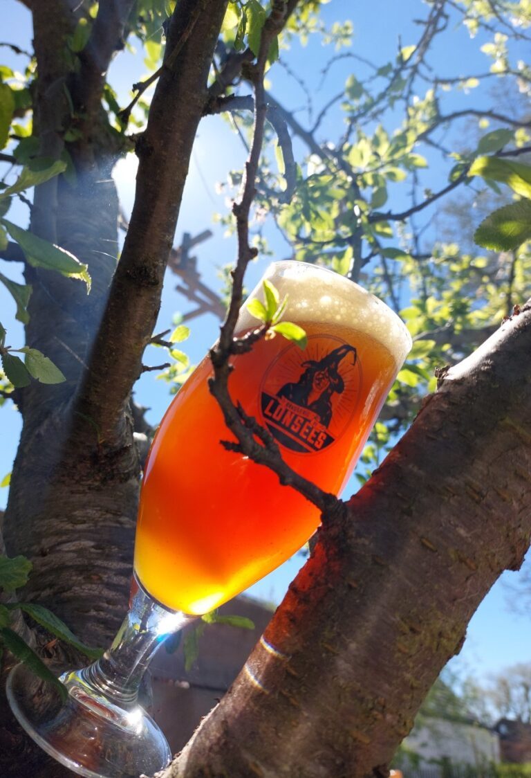 280807383_1230633134341482_694670242084628369_n