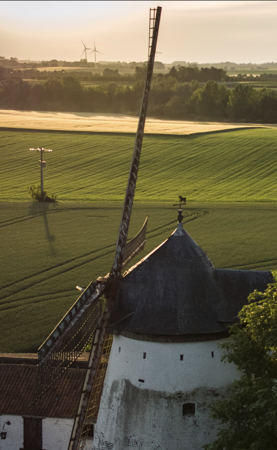 Les 5 coins de Terra Curiosa