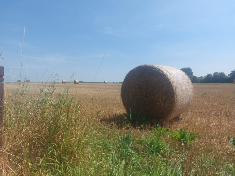Des paysages de terroir