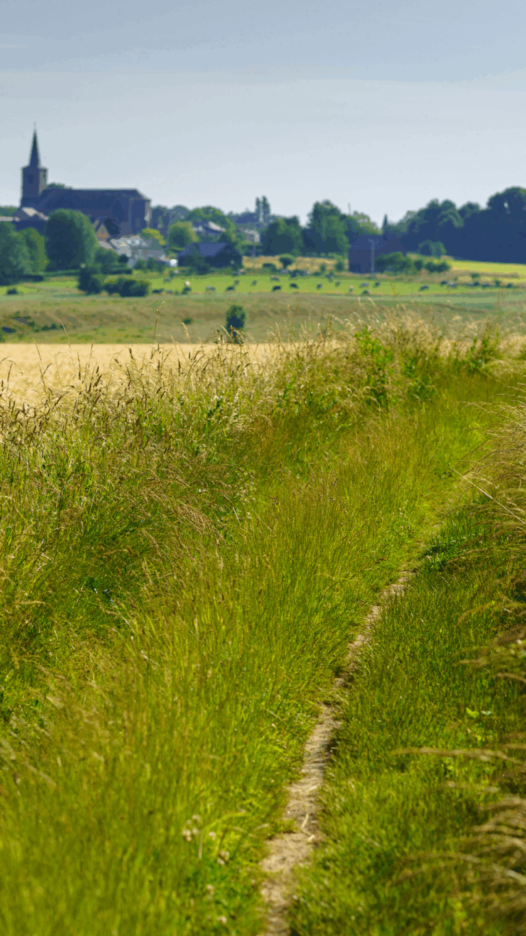 Photo de Denis Closon