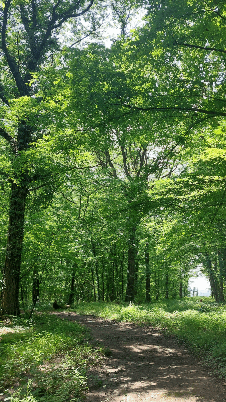 Photo de S. Dejardin