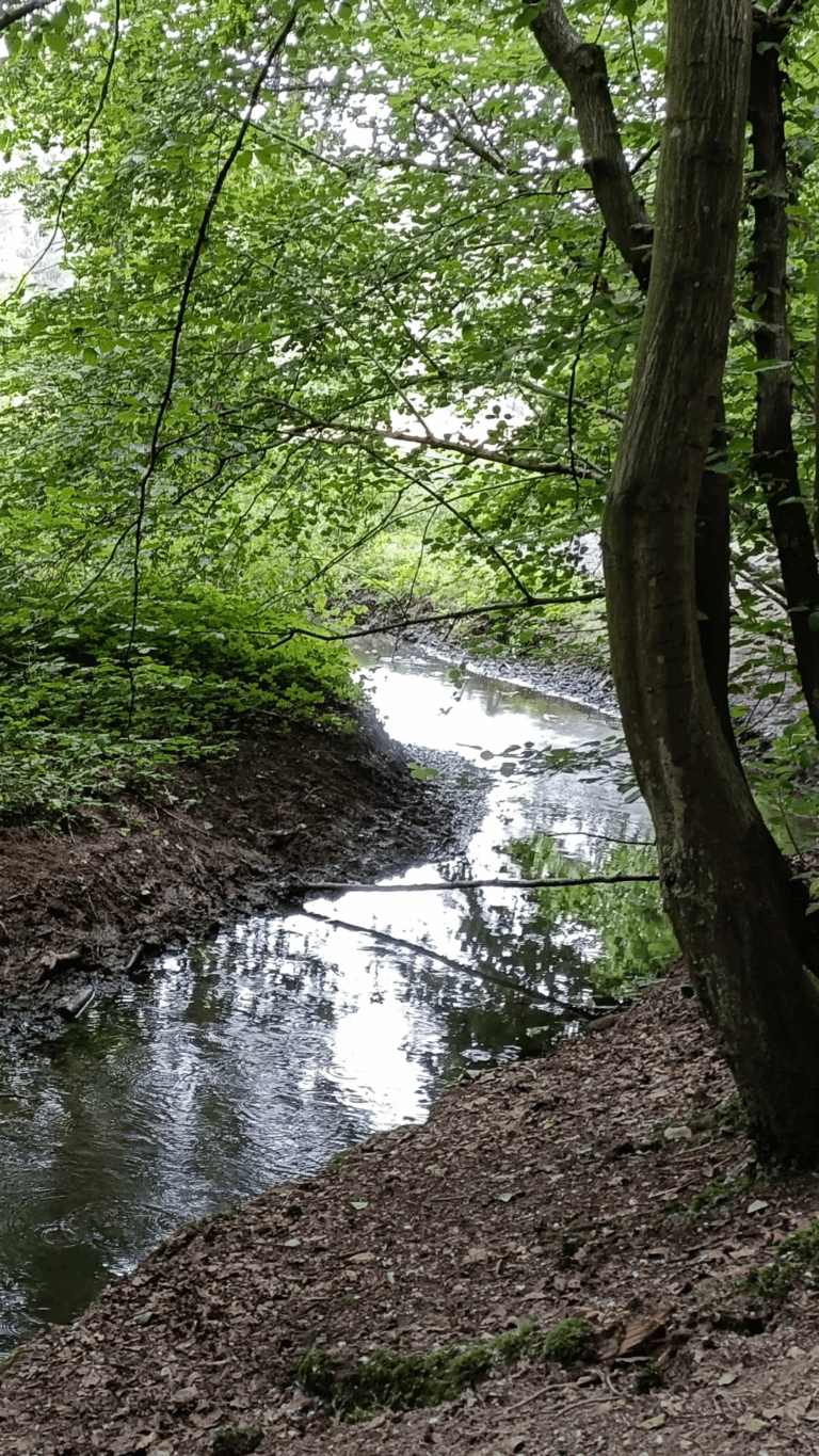 Photo de F. Carpiaux