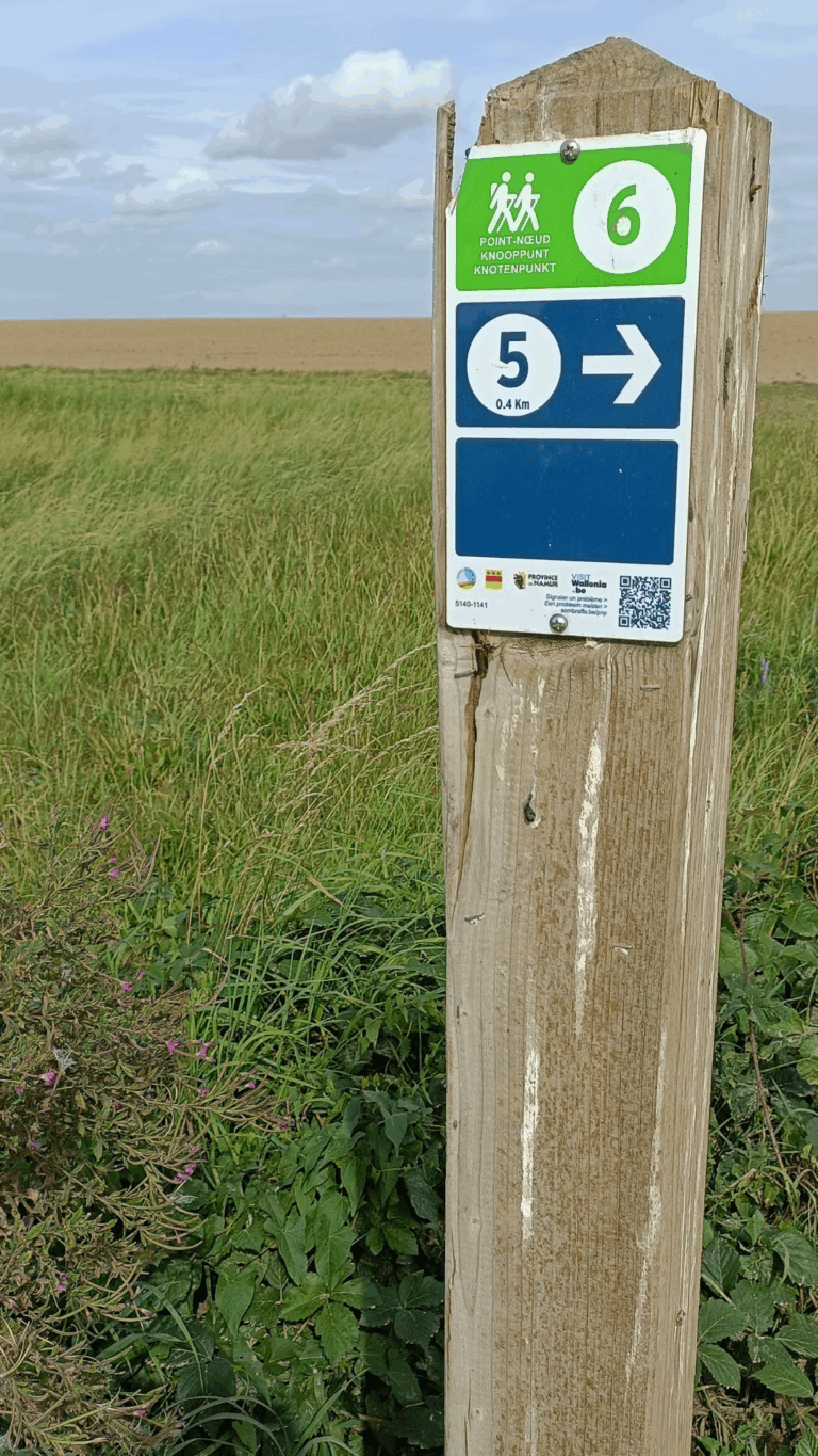 Une balise dans la campagne. Photo de F. Carpiaux.