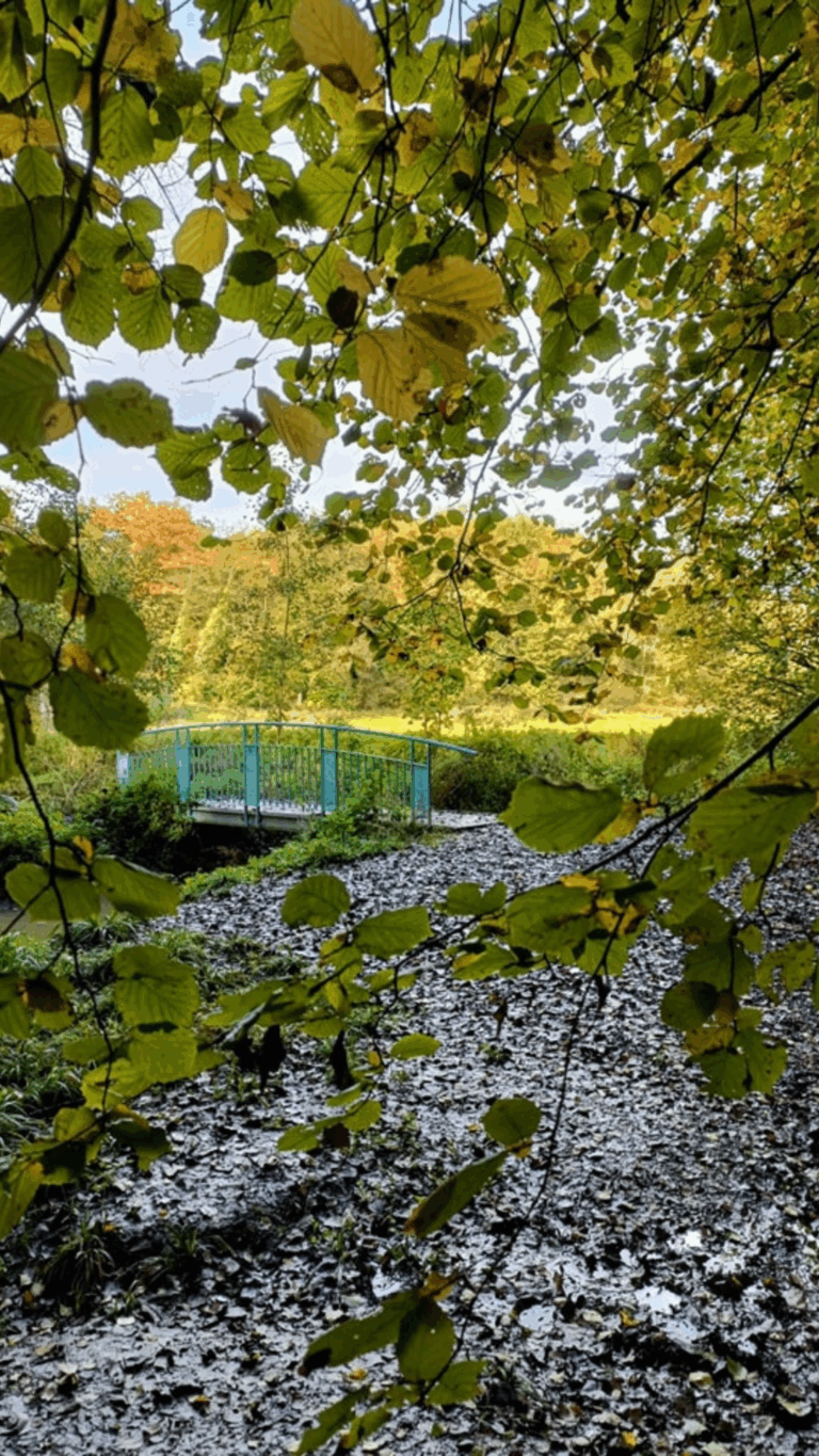 Photo de F. Carpiaux