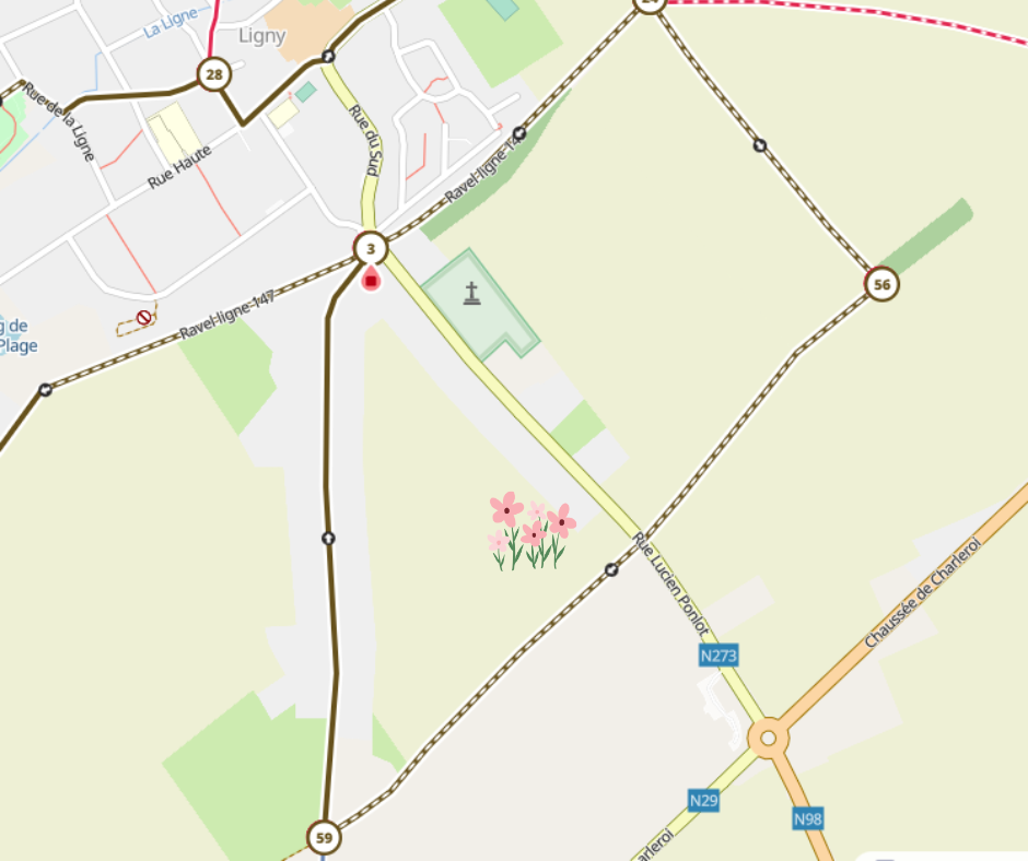 ligny fleurs à couper