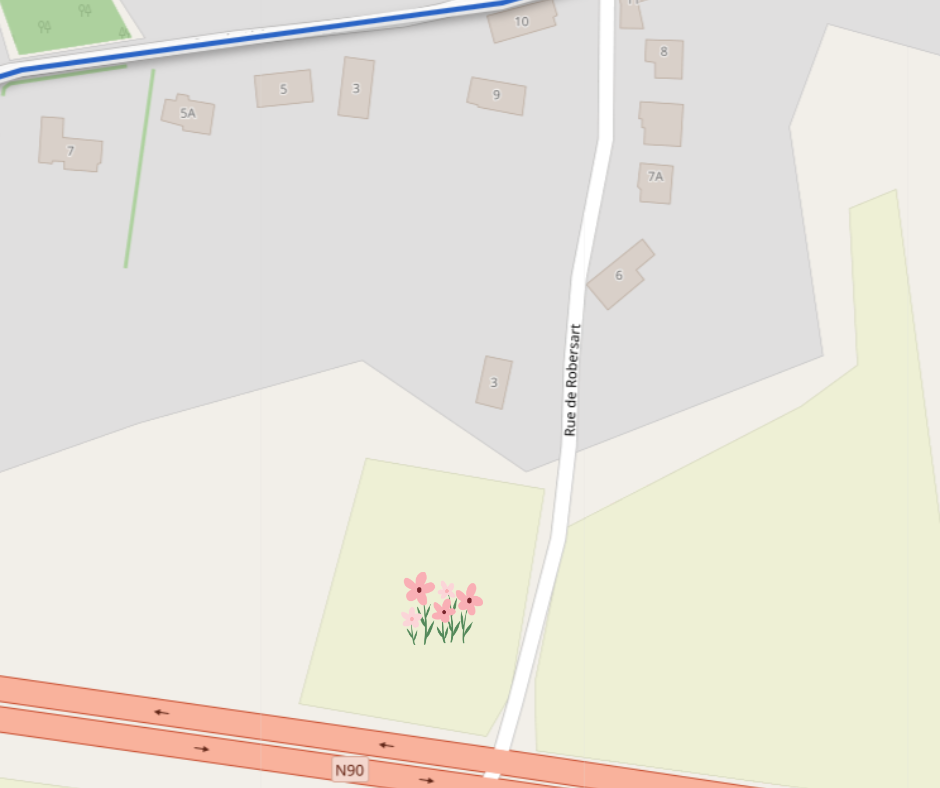 champs fleurs à couper franière