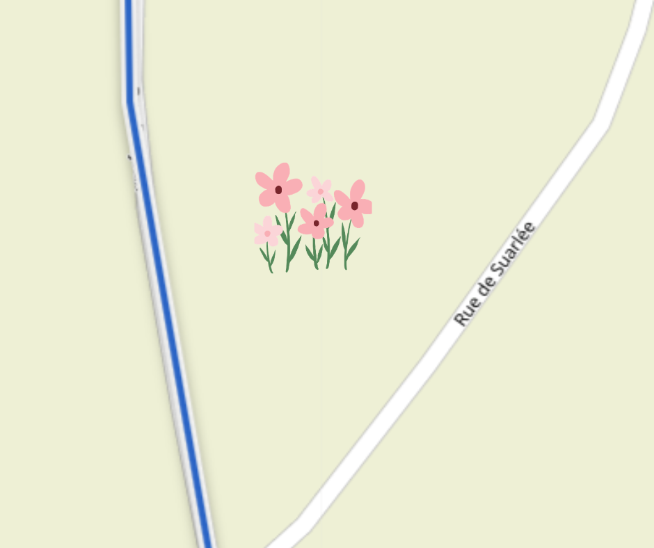 champs de fleurs à couper gembloux