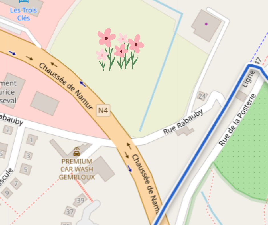 fleurs à couper gembloux