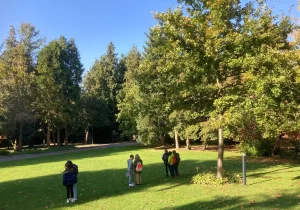 246000895_399511588430944_4409229403325734884_n