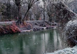 Noue de Ham-sur-Sambre