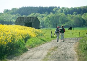 Balades & promenades à pied près de Namur