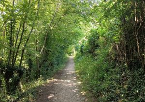 Buzet - parcours santé et paysages - 26.06.2024 - FC (4)