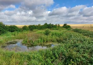 Réserve des 3 Viviers