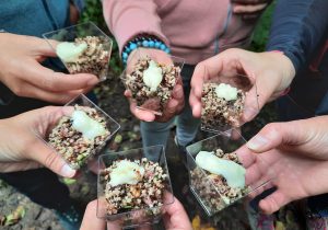 Balade à la découverte de plantes sauvages comestibles