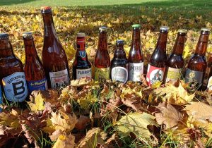 Les Bières de Terra Curiosa