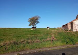 Randonnée près de Namur