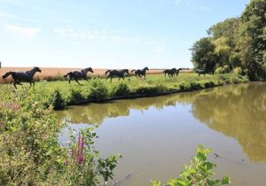 Exit 11 Centre d'art contemporain