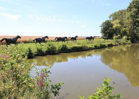 Exit 11 Centre d'art contemporain