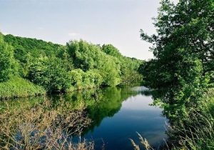 Balade au fond des bois - au fil de l'eau - Jemeppe
