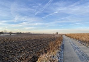 Chemin à Lonzée